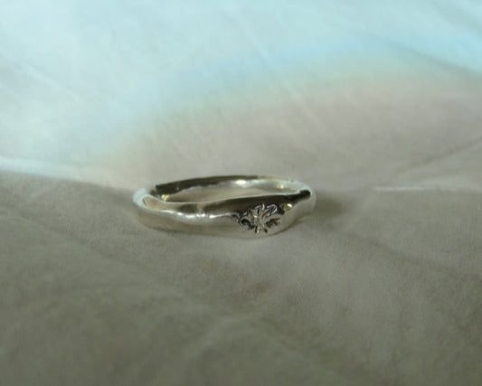 No. 3 ring