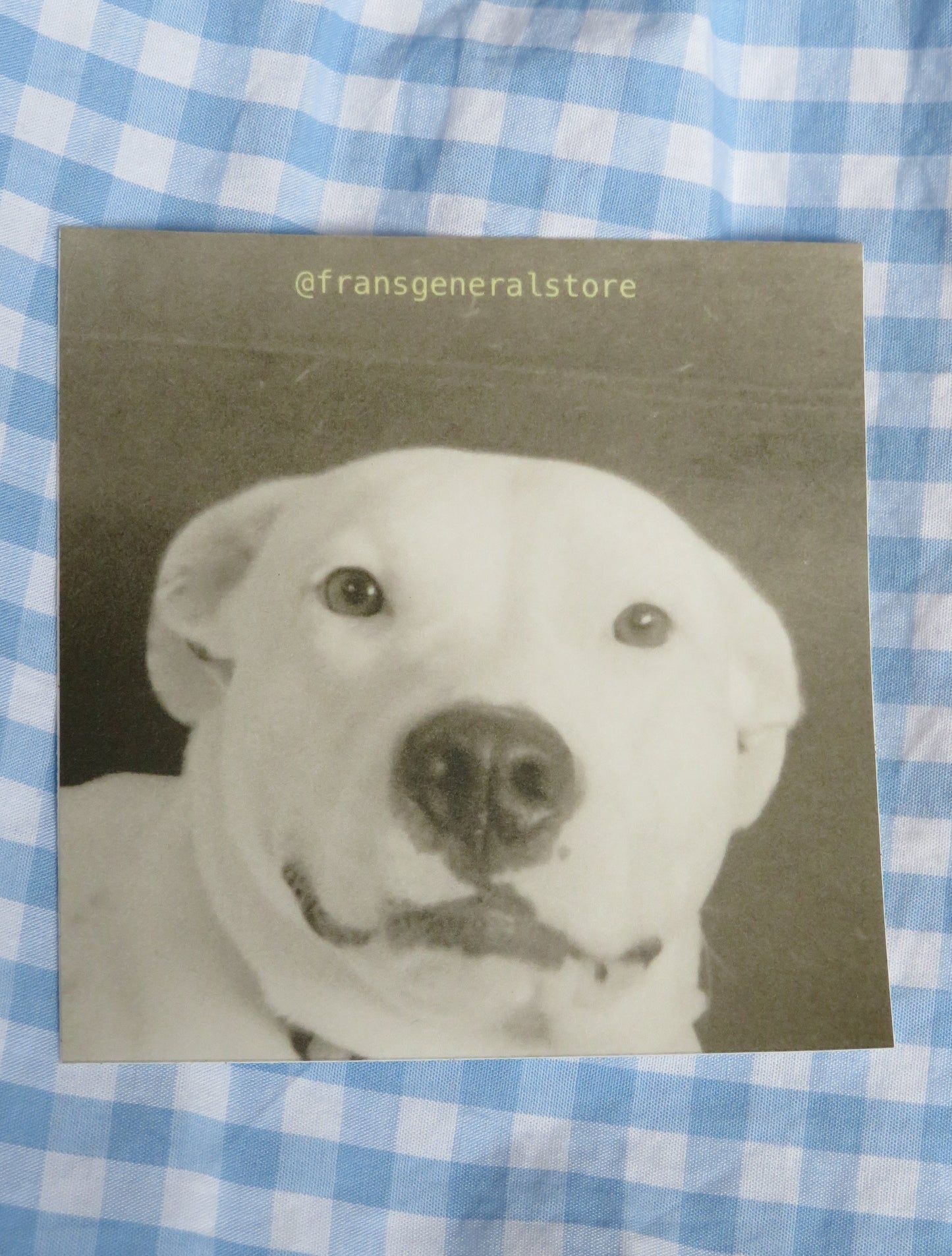 3" mugshot sticker